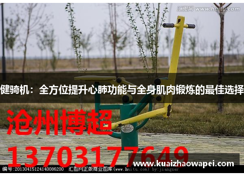 健骑机：全方位提升心肺功能与全身肌肉锻炼的最佳选择