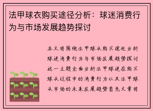 法甲球衣购买途径分析：球迷消费行为与市场发展趋势探讨