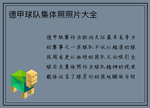 德甲球队集体照照片大全