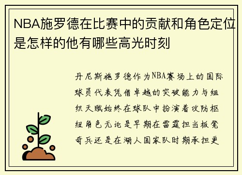 NBA施罗德在比赛中的贡献和角色定位是怎样的他有哪些高光时刻